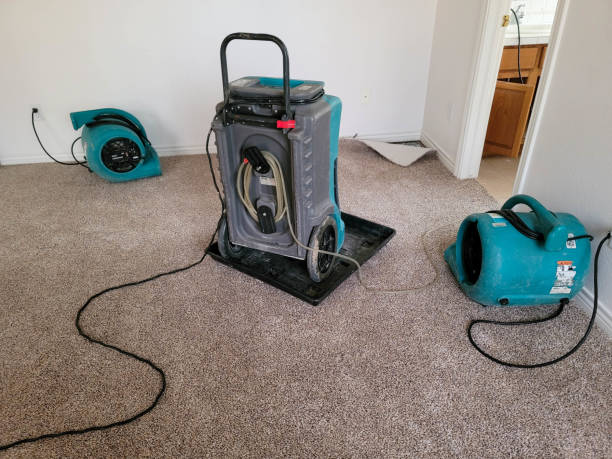 Best Ceiling water damage repair  in Jellico, TN