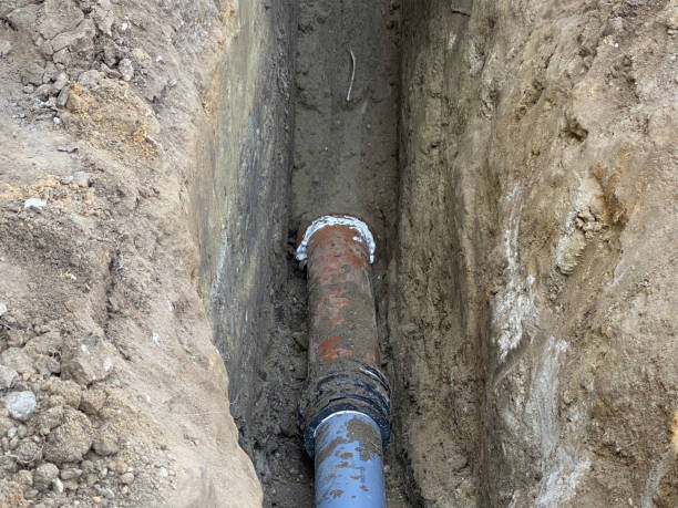 Best 24/7 water damage repair  in Jellico, TN