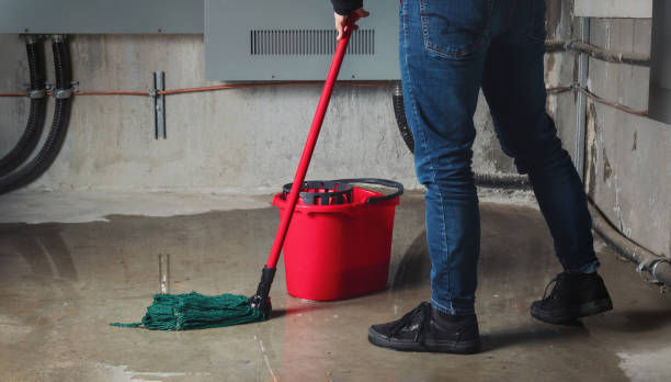 Best Mold removal after water damage  in Jellico, TN