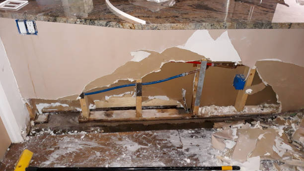Best Flood damage cleanup  in Jellico, TN