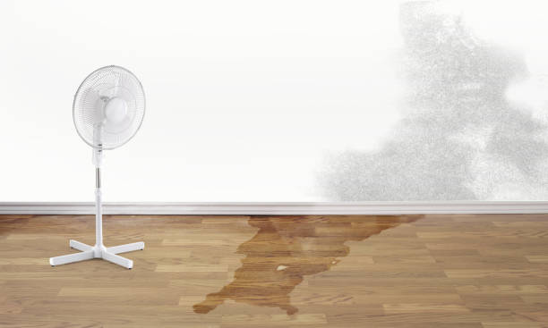 Fire Damage Restoration in TN