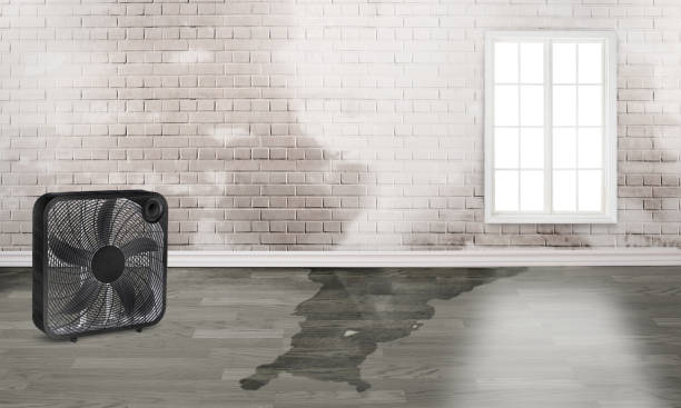 Trusted TN Water damage restoration Experts