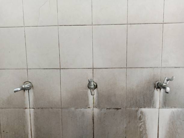 Best Fire Damage Restoration  in Jellico, TN