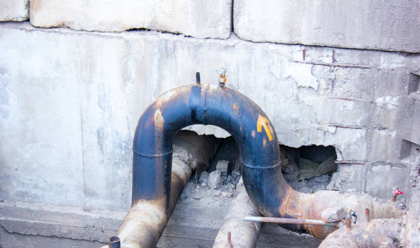 Best Water damage restoration mold remediation  in Jellico, TN