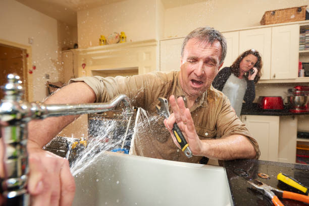 Best Water damage restoration near me  in Jellico, TN